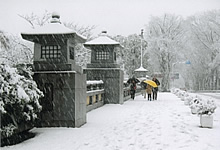 初雪