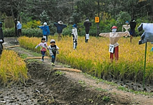 畦道で戯れる
