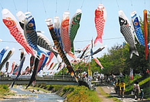 五月の風をいっぱいに受けて