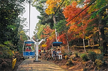 エコーリフトと紅葉