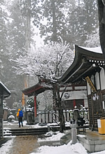 雪の山頂を目指す