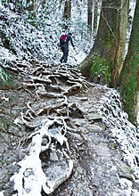 残雪の登山道
