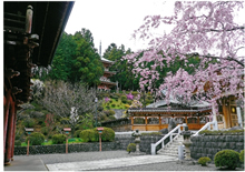 永林寺の春