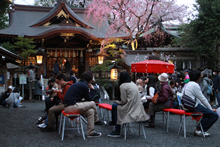 夜のお花見