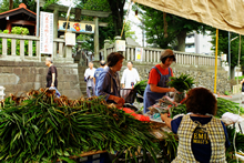 しょうが祭