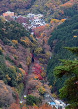 秋の高尾山山麓