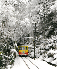 雪の高尾山へ