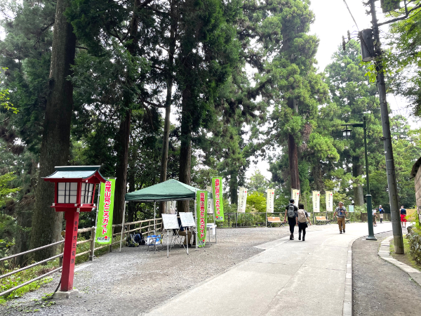高尾山薬王院　山門前広場